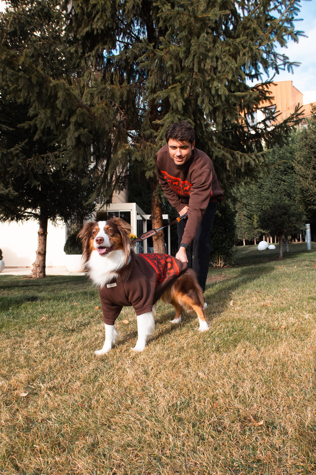 AskyxHuman | Woofmas | Chestnut Classic