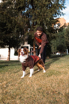 AskyxHuman | Woofmas | Chestnut Classic