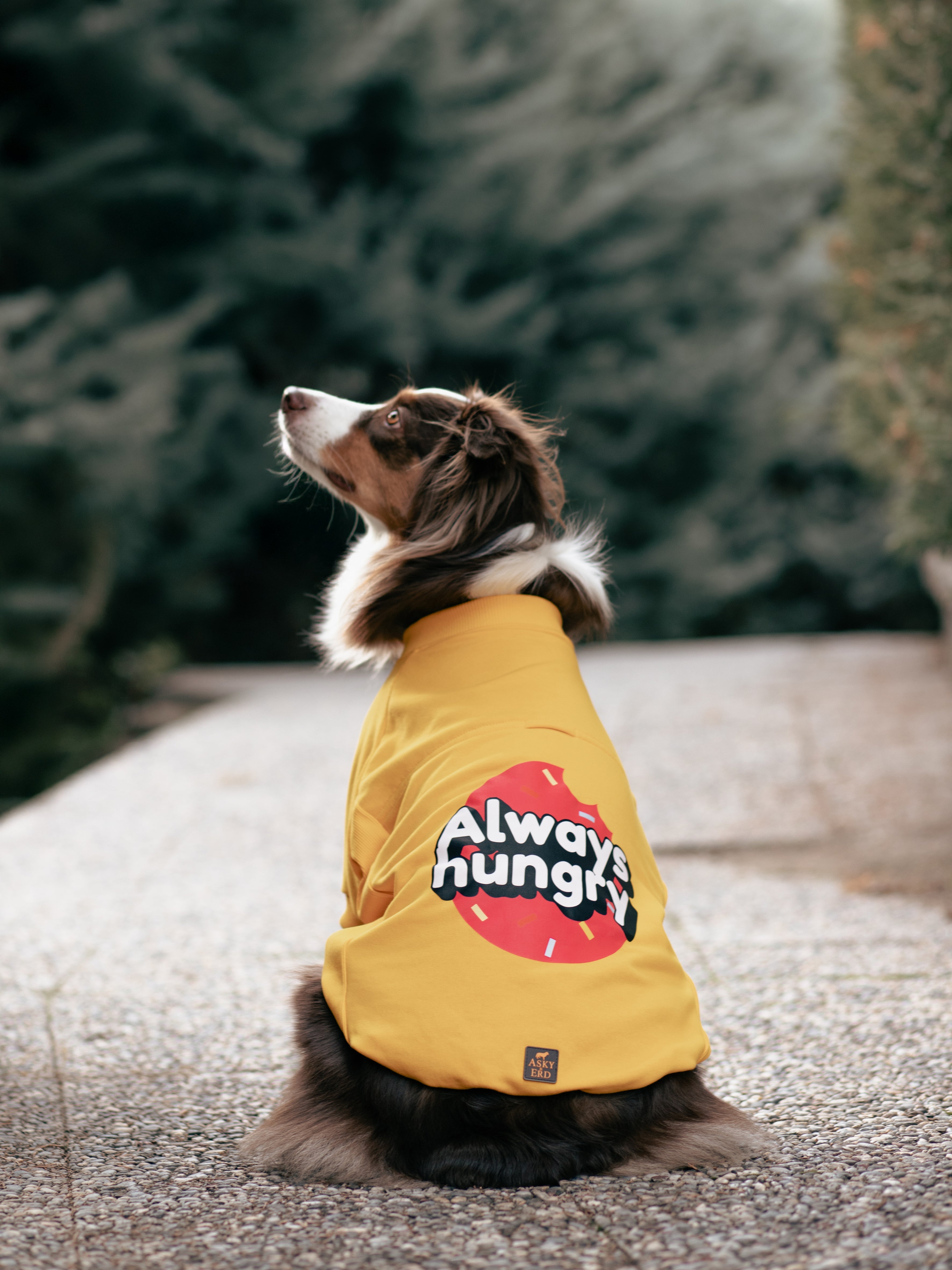 I am”.. Sweatshirts Collection -Always Hungry 🍩