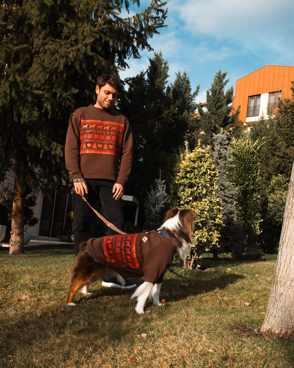 AskyxHuman | Woofmas | Chestnut Classic