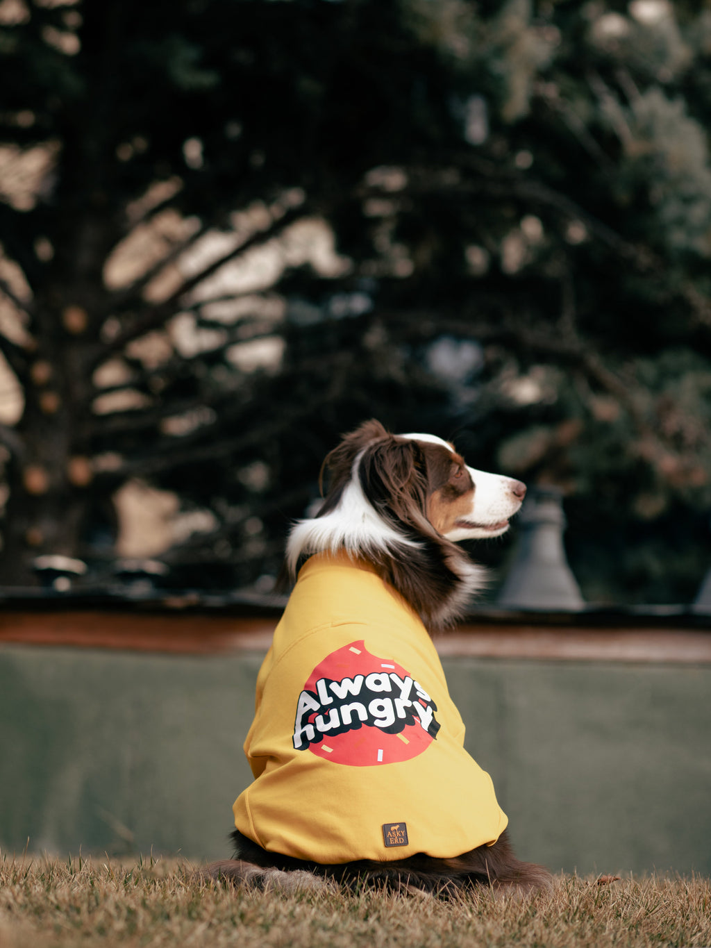 I am”.. Sweatshirts Collection -Always Hungry 🍩