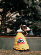 I am”.. Sweatshirts Collection -Always Hungry 🍩