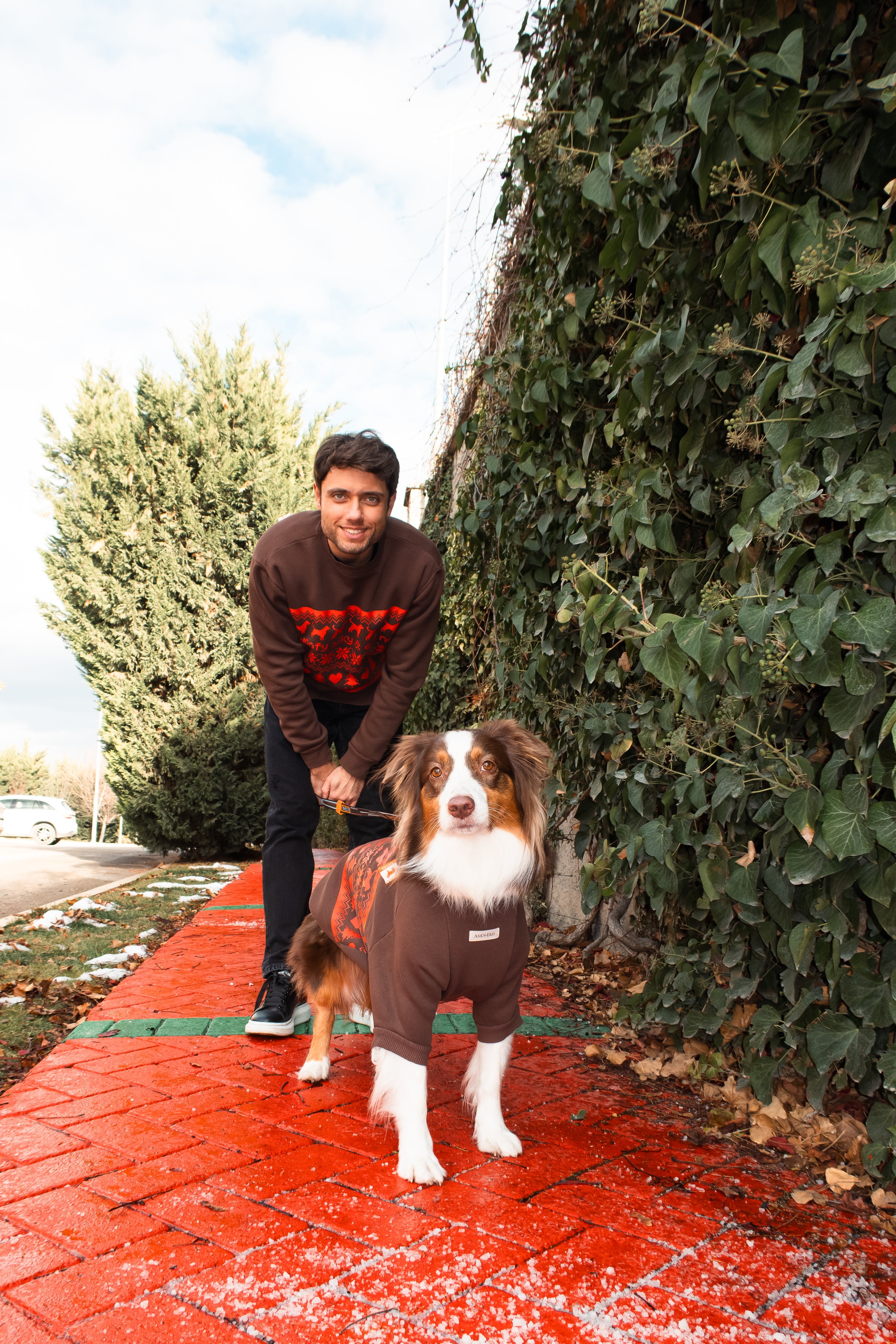 AskyxHuman | Woofmas | Chestnut Classic