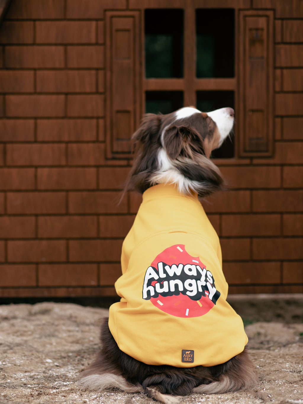I am”.. Sweatshirts Collection -Always Hungry 🍩