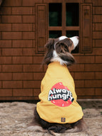 I am”.. Sweatshirts Collection -Always Hungry 🍩