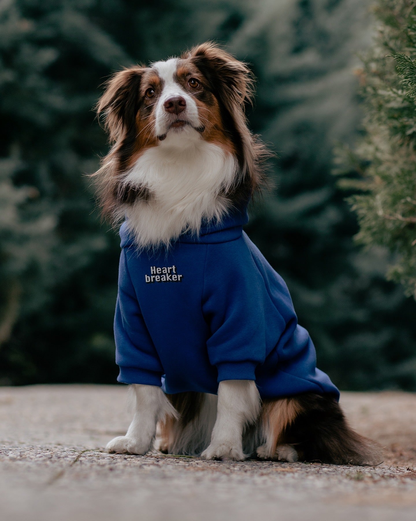 I am”.. Sweatshirts Collection - Heart Breaker 💔