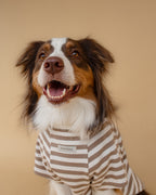 Heritage Stripe Tshirt | Oat Latte