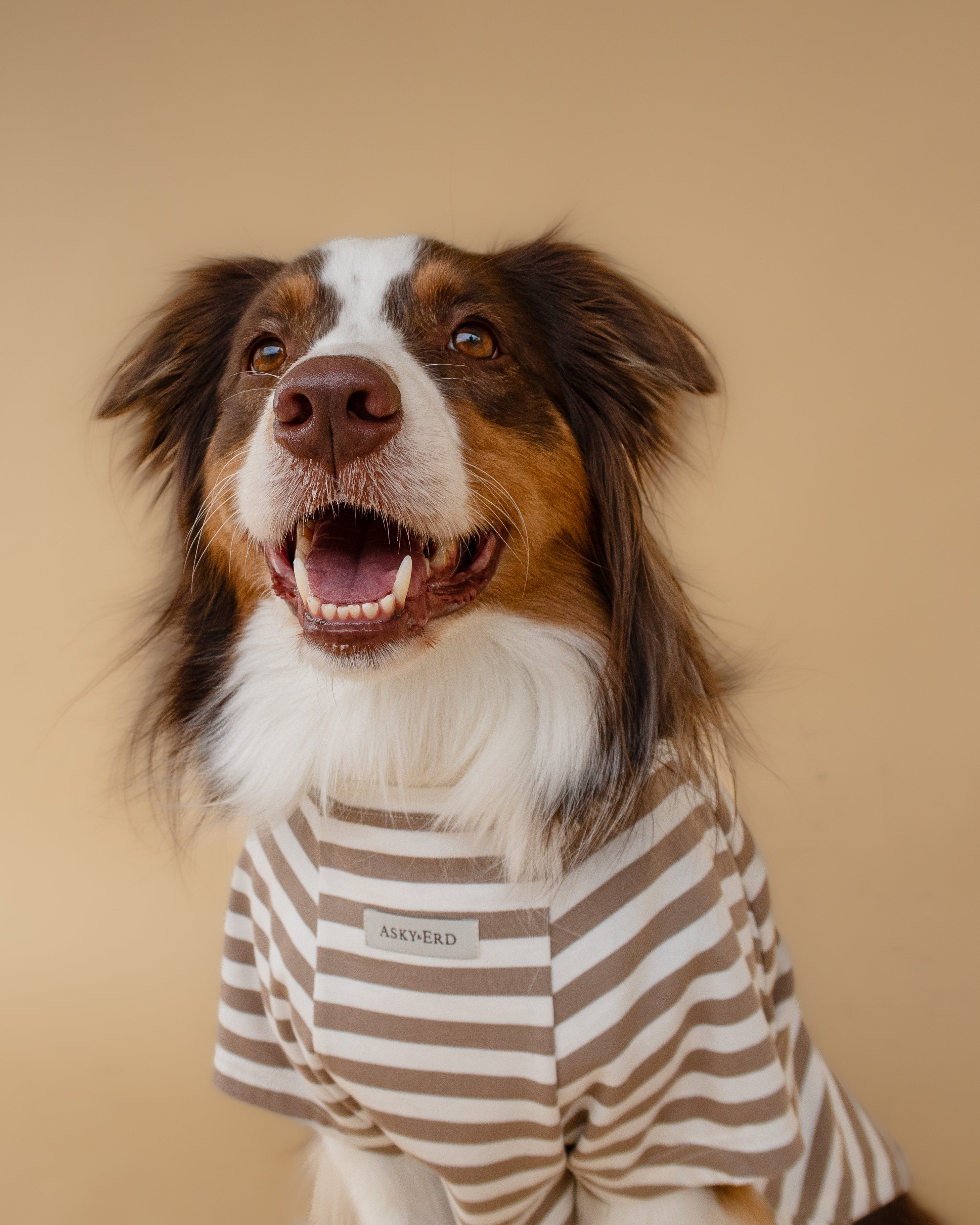 Heritage Stripe Tshirt | Oat Latte