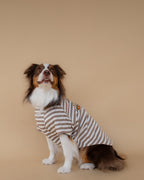 Heritage Stripe Tshirt | Oat Latte