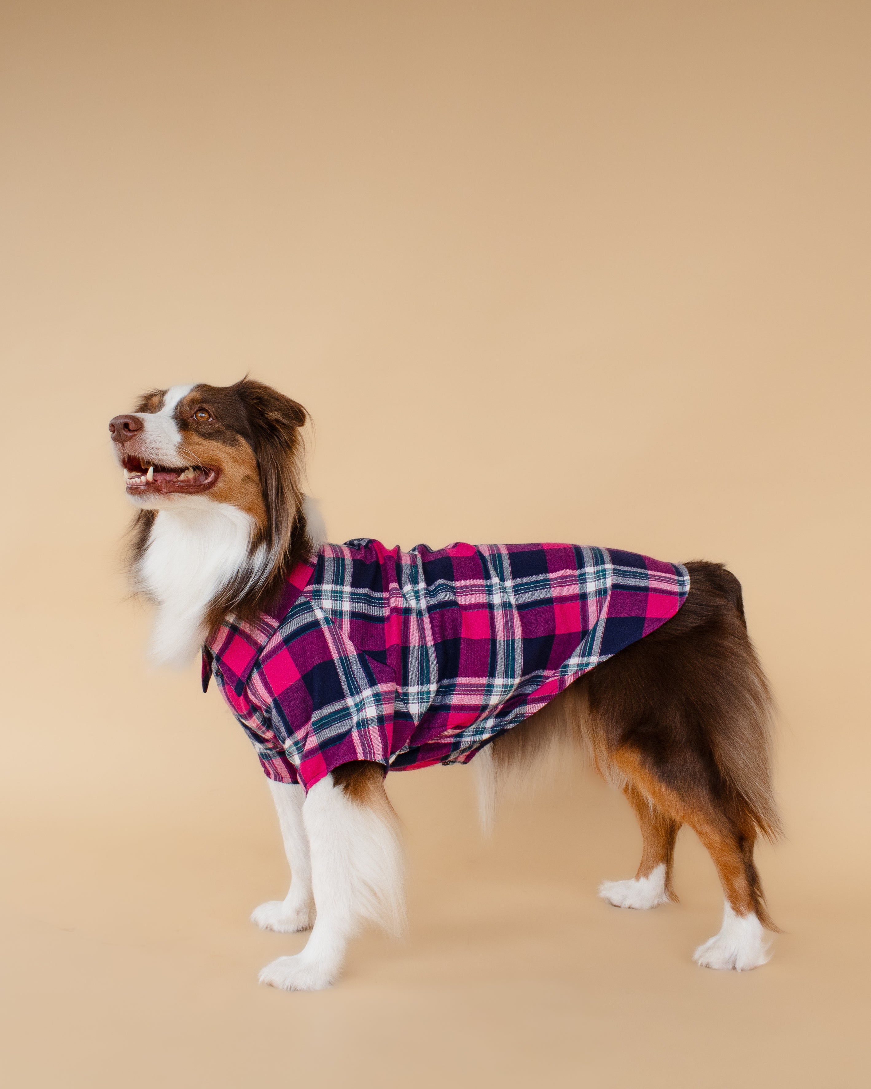 Plaid Shirt | Midnight Berry