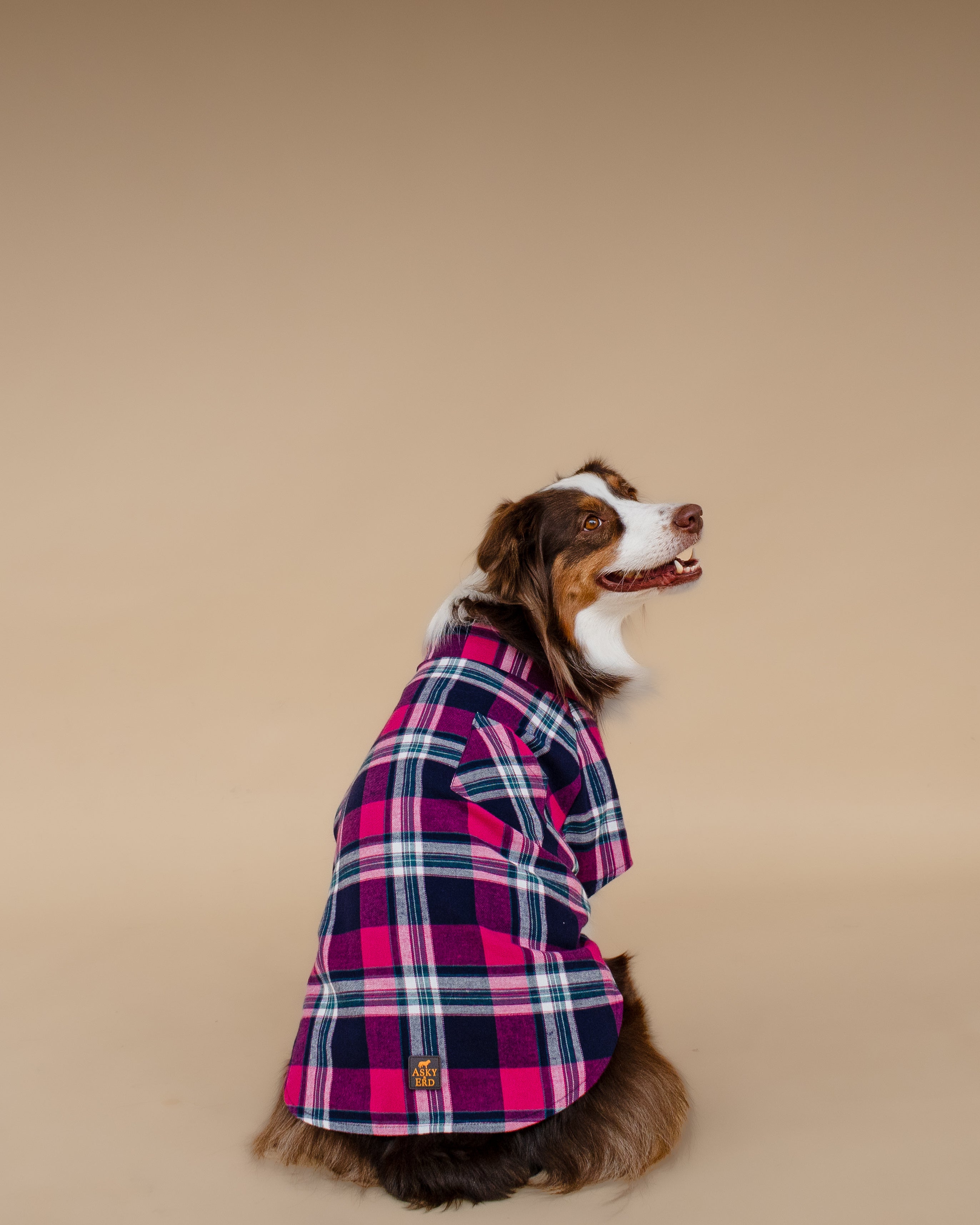 Plaid Shirt | Midnight Berry