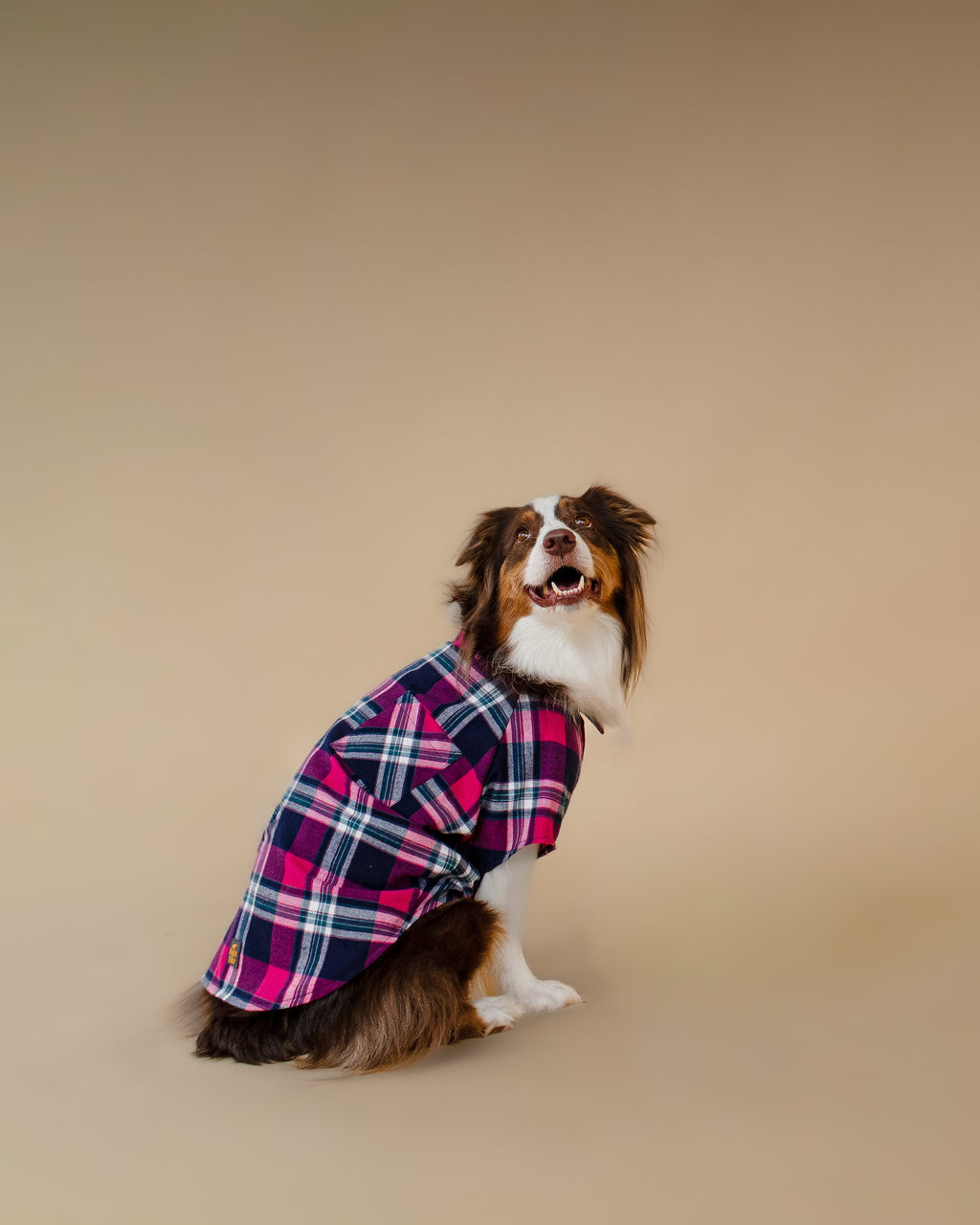 Plaid Shirt | Midnight Berry