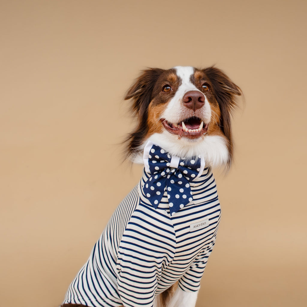 | Ribbon Bow | Navy Polka