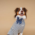 | Ribbon Bow | Navy Polka