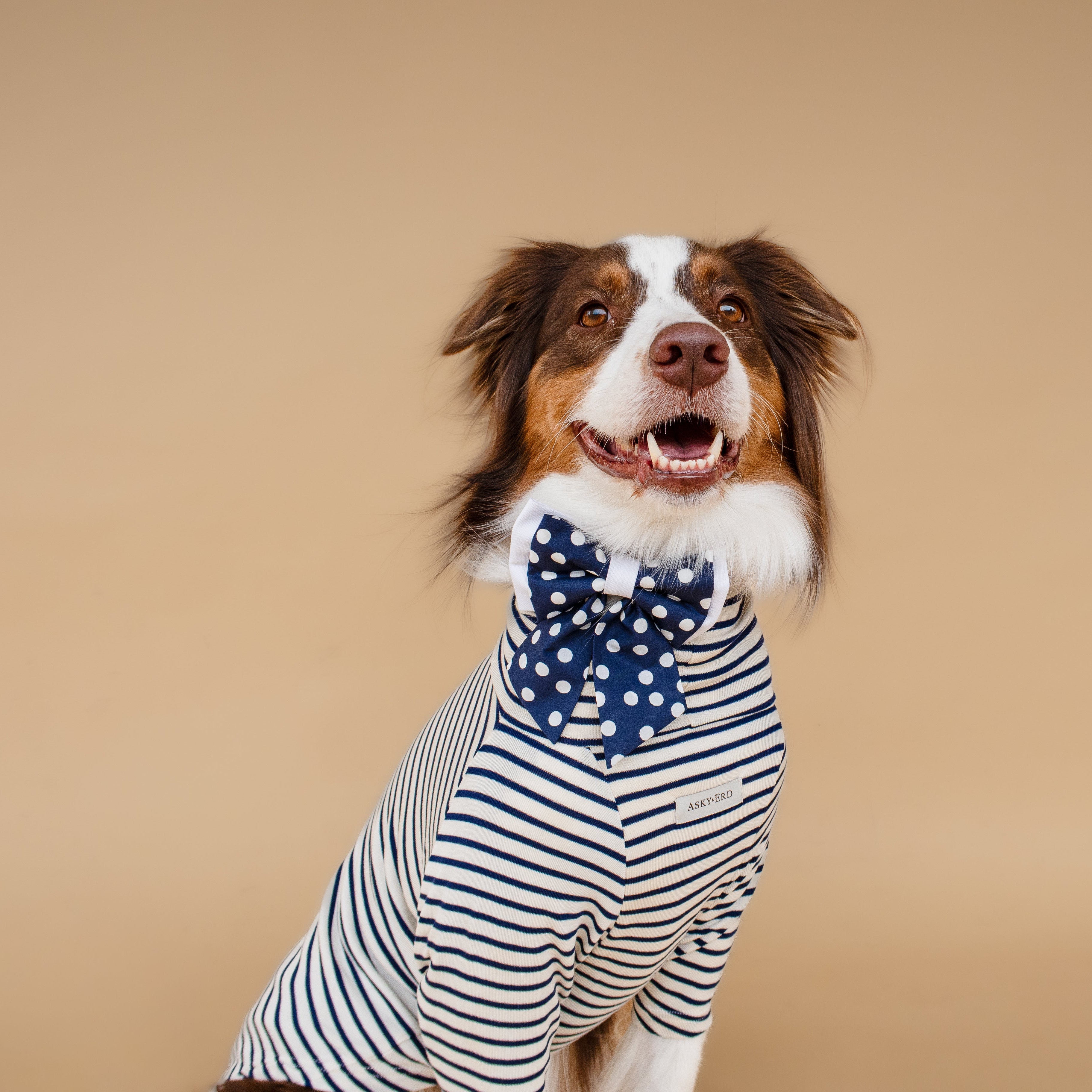 | Ribbon Bow | Navy Polka