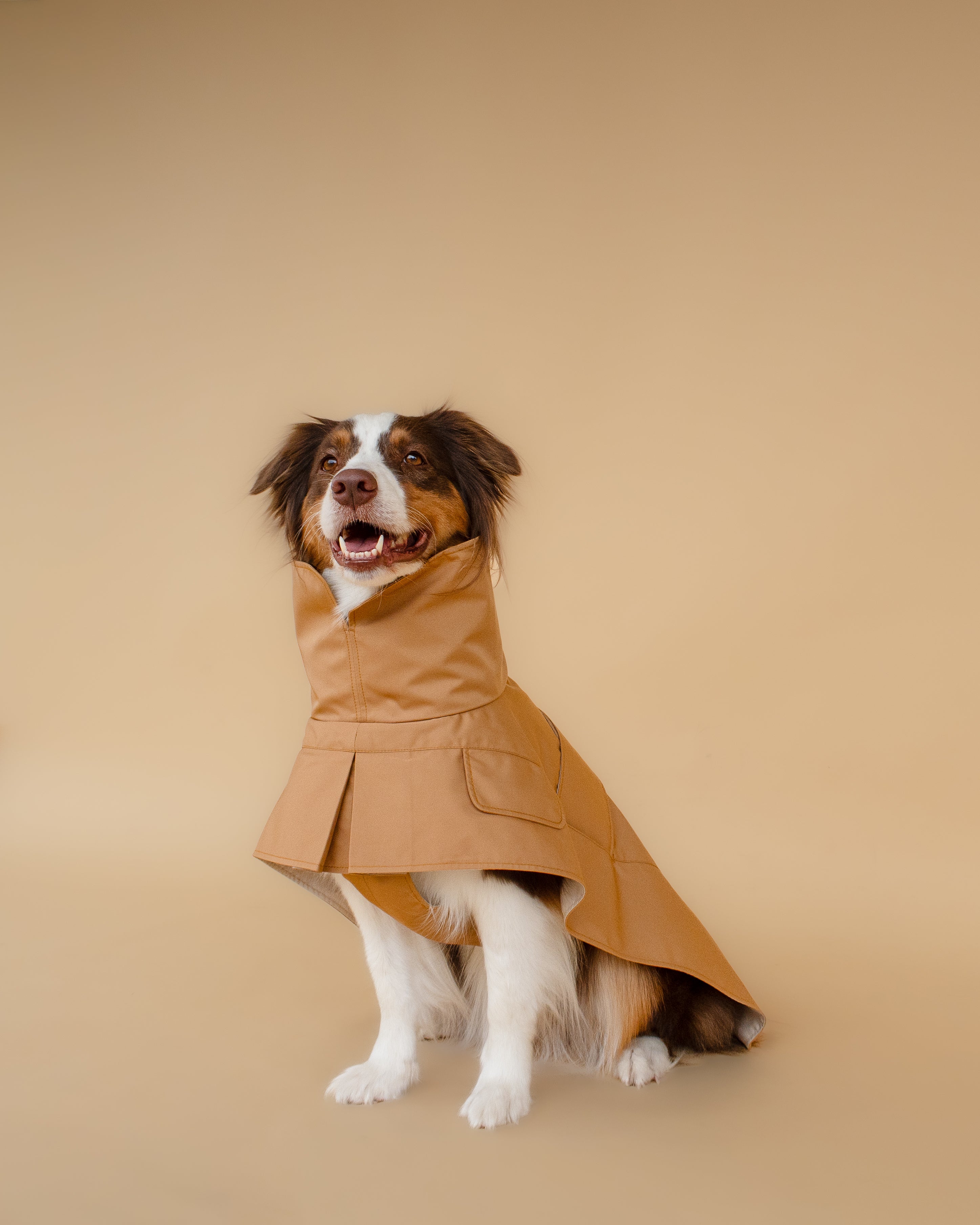 Trenchcoat | Signature Beige