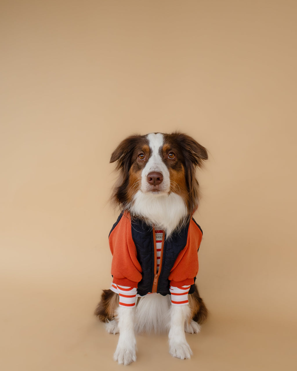 Turtleneck Tshirt | Tangerine Stripe