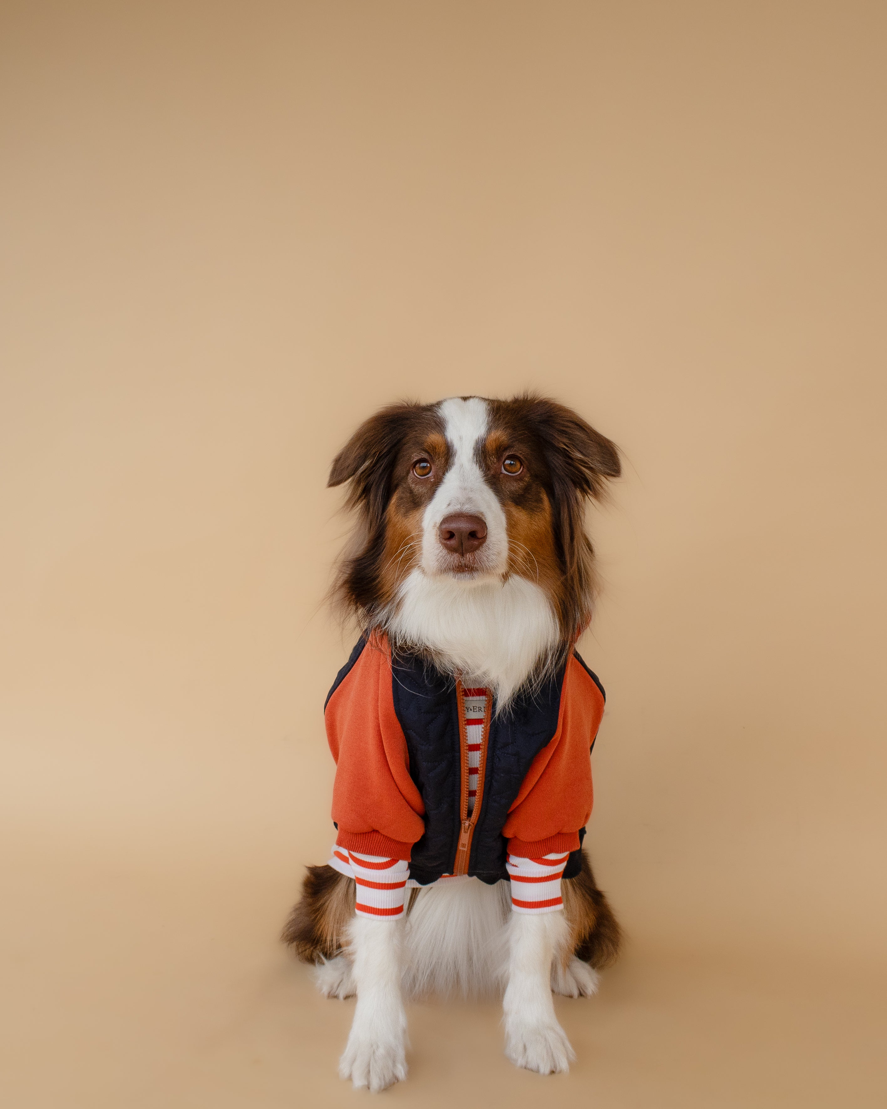 Turtleneck Tshirt | Tangerine Stripe