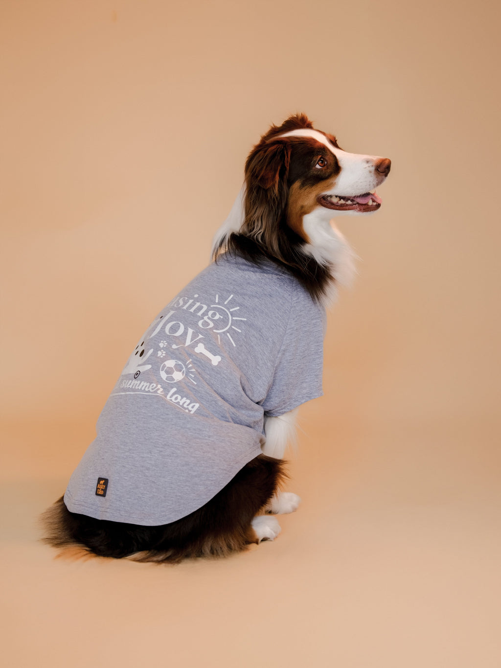 Chasing Joy | Urban Grey