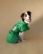 Seattle Raincoat | Evergreen