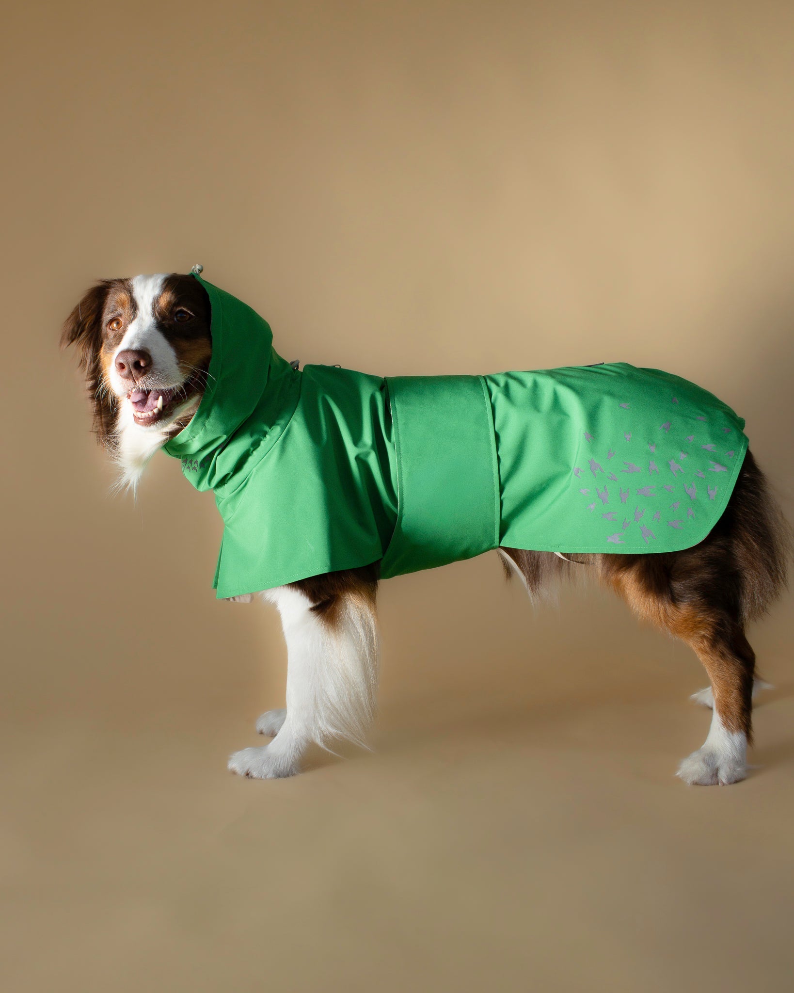 Seattle Raincoat | Evergreen