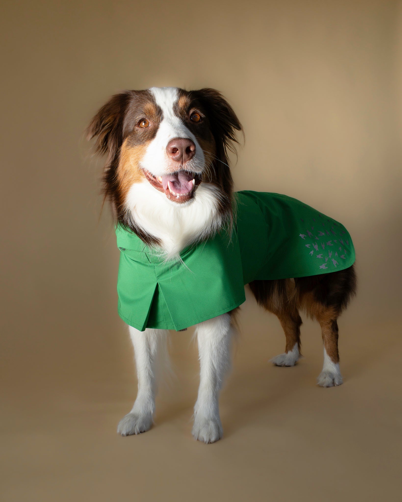 Seattle Raincoat | Evergreen