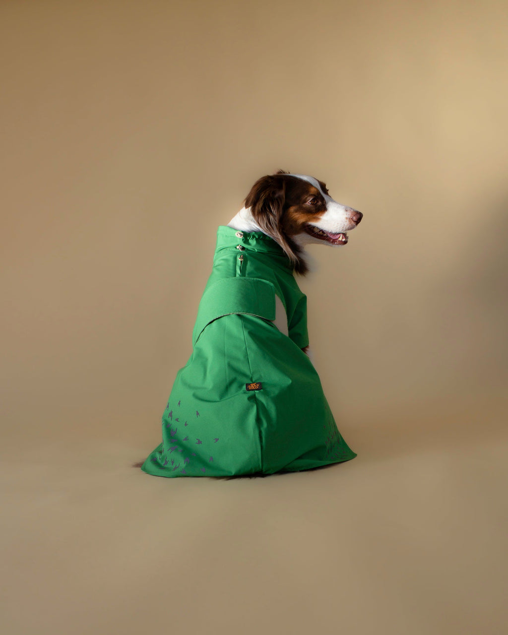 Seattle Raincoat | Evergreen