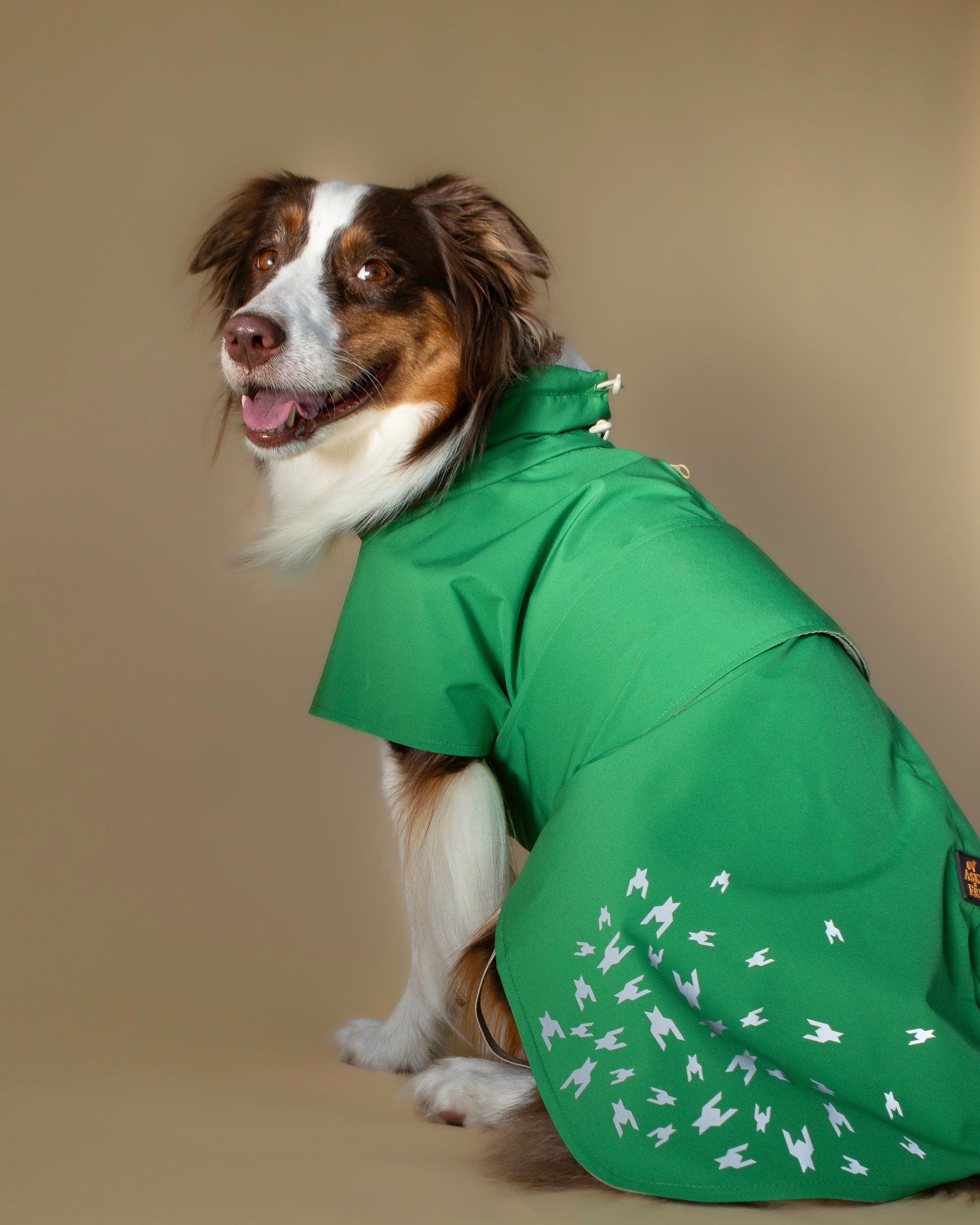 Seattle Raincoat | Evergreen