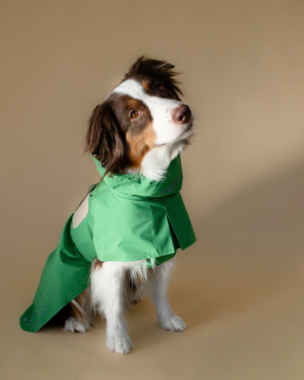 Seattle Raincoat | Evergreen
