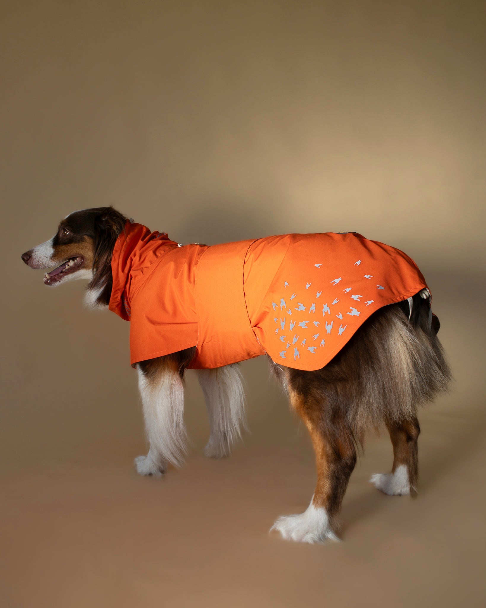 Seattle Raincoat | Amber Glow