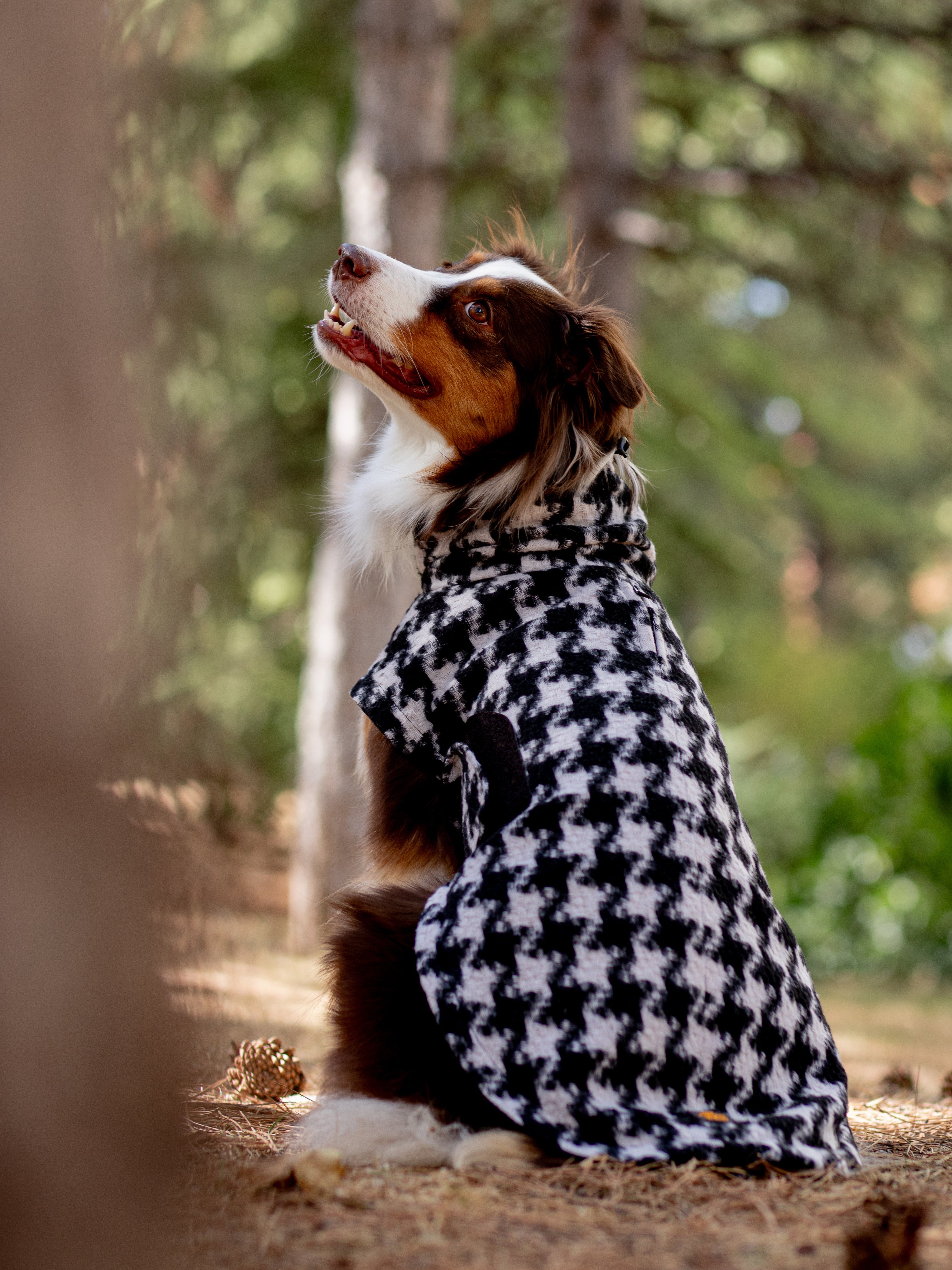 Chicago Vest | Houndstooth