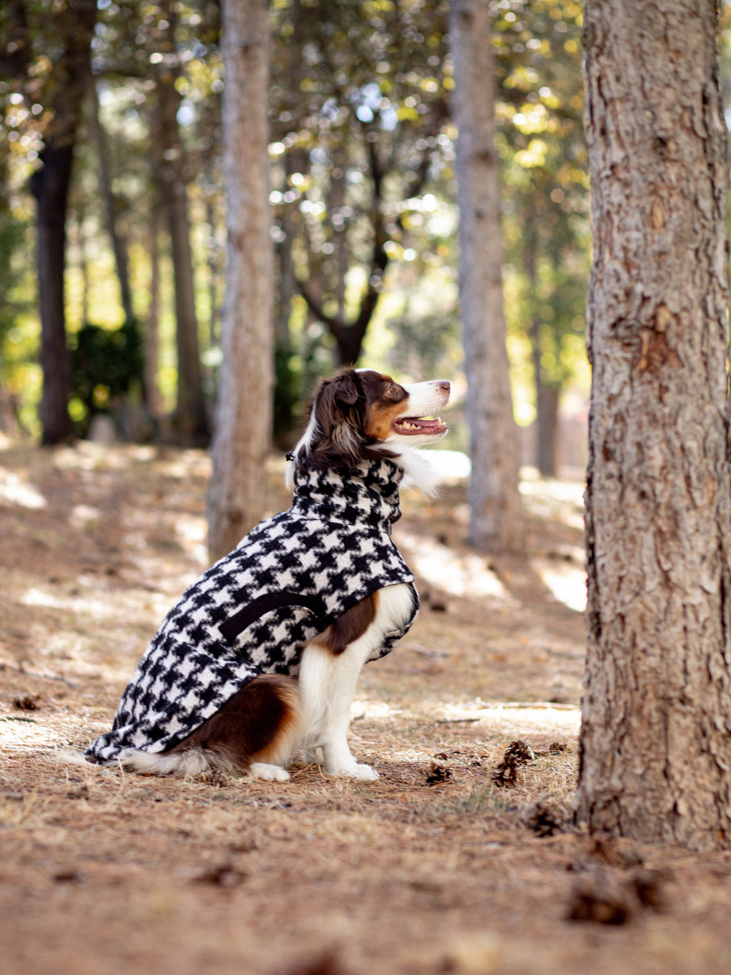 Chicago Vest | Houndstooth