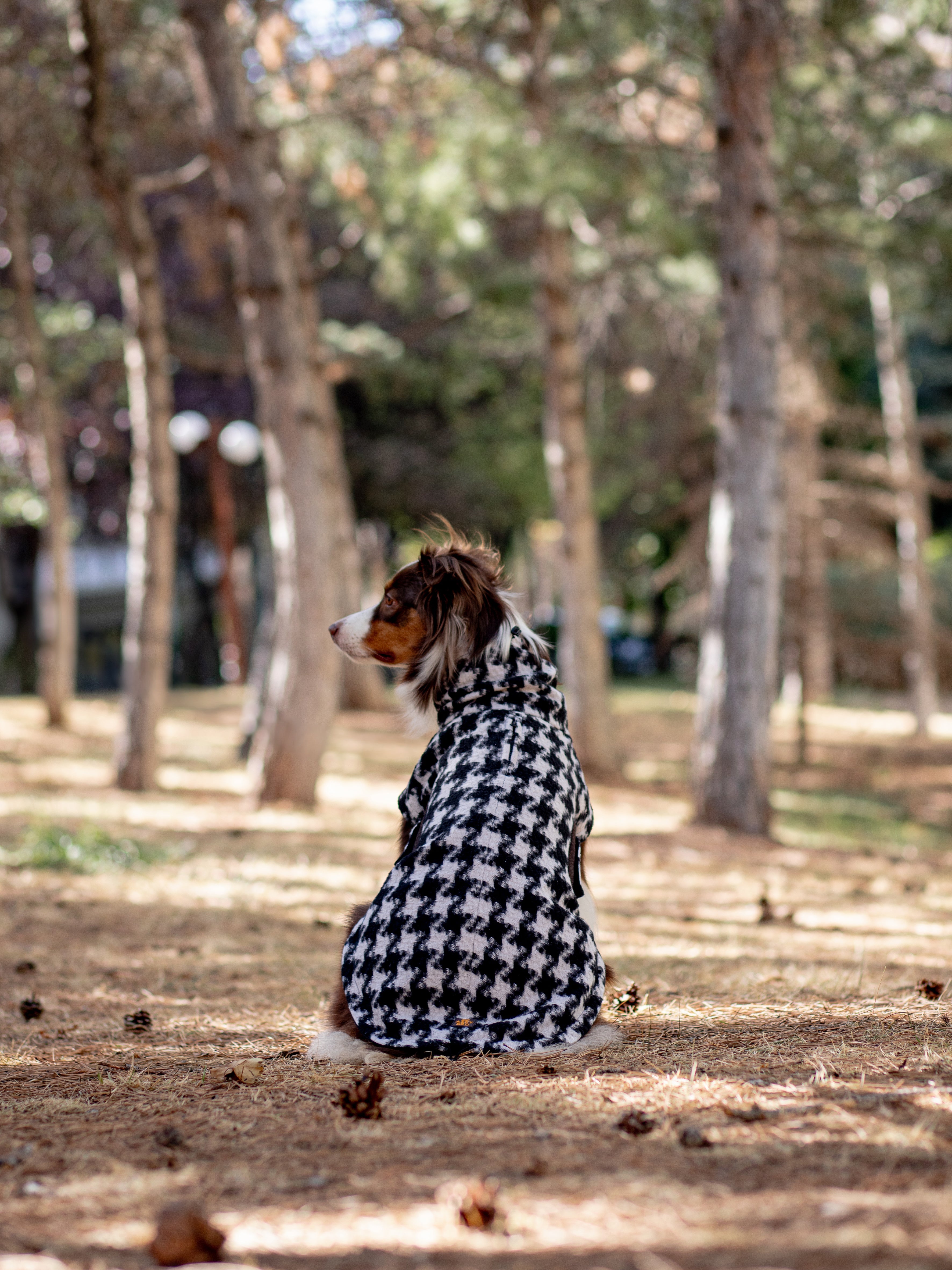 Chicago Vest | Houndstooth