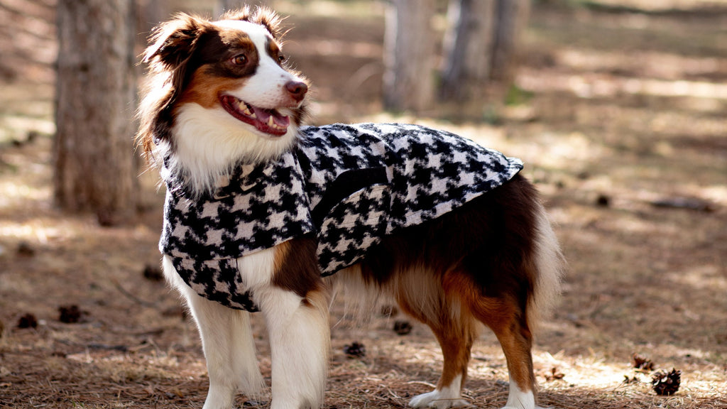 Chicago Vest | Houndstooth