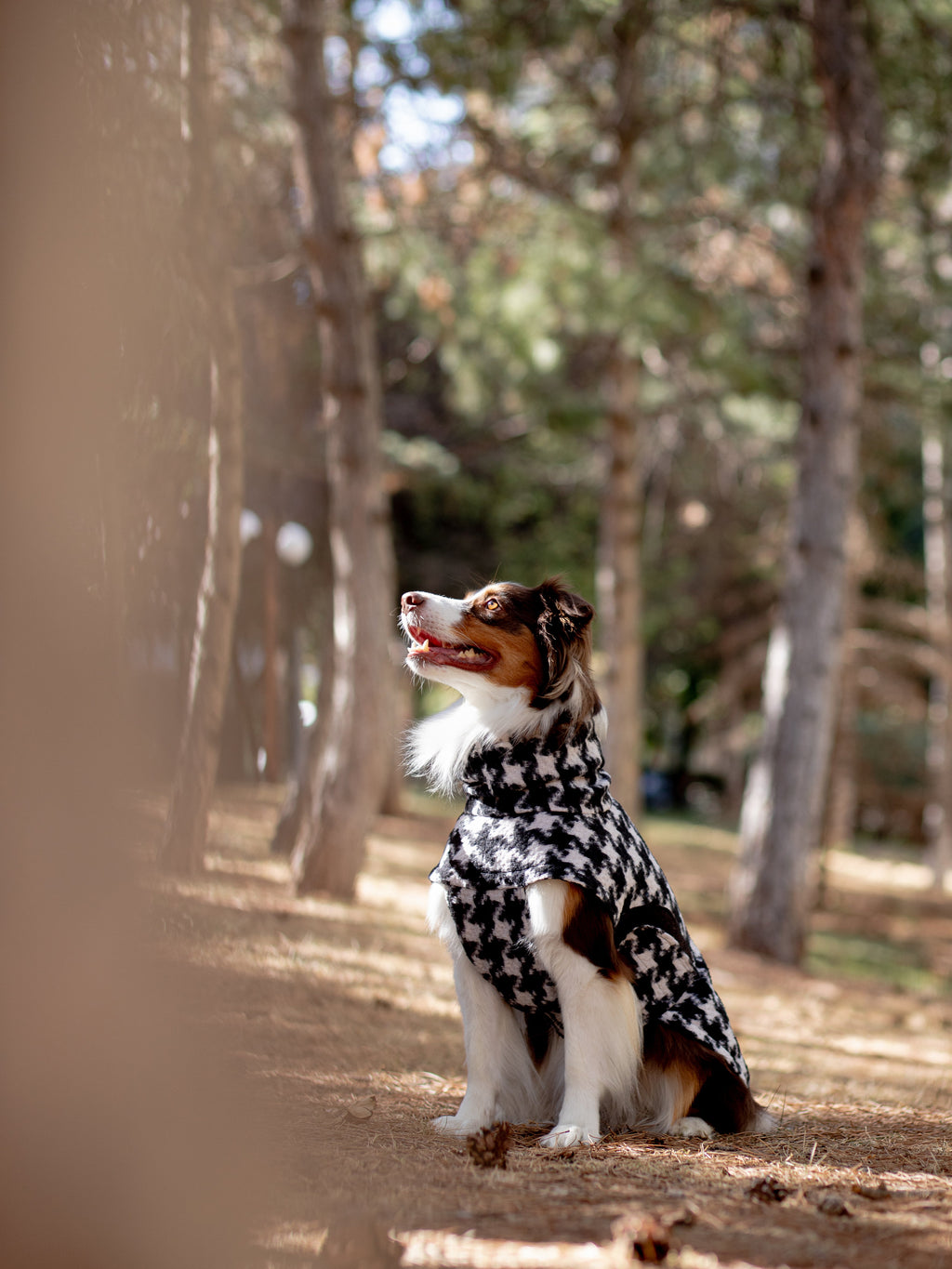 Chicago Vest | Houndstooth