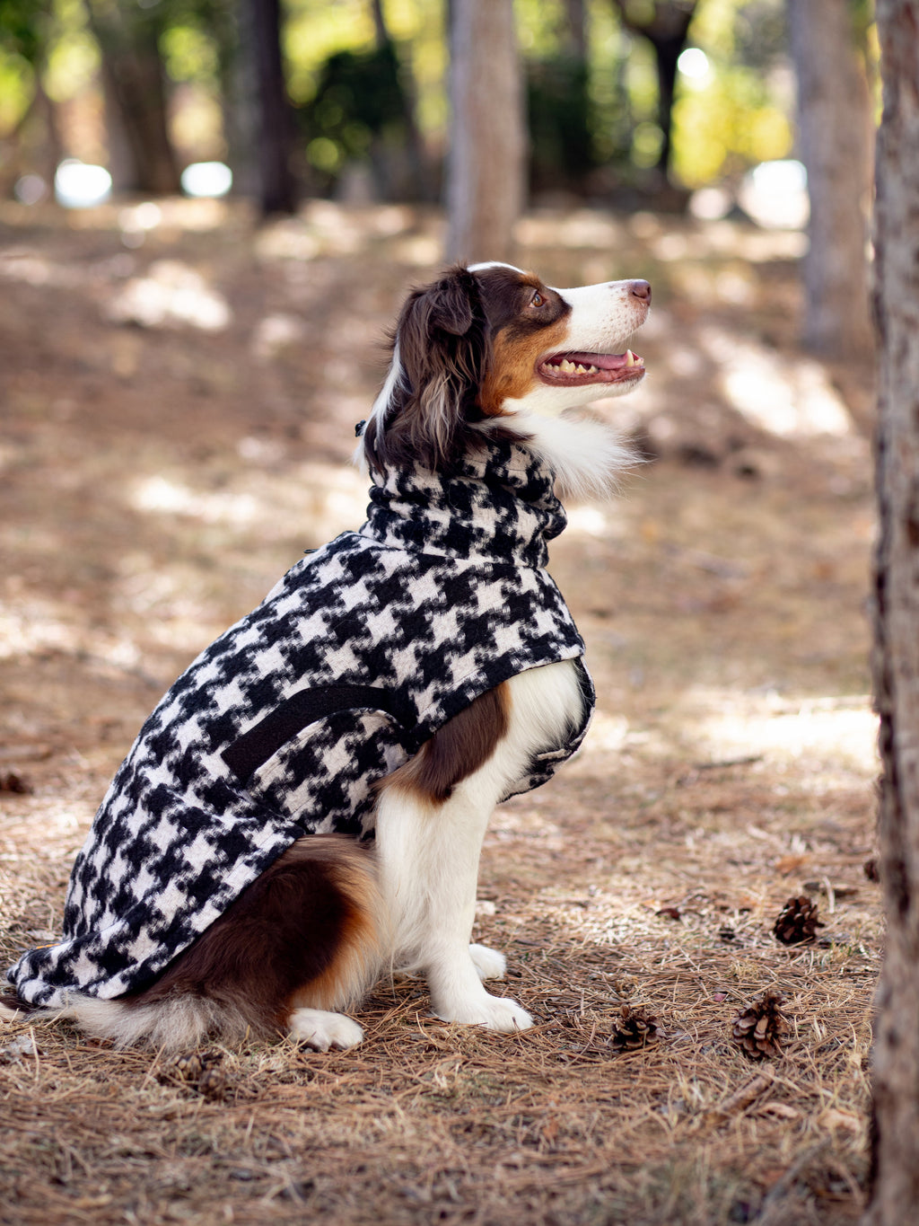 Chicago Vest | Houndstooth