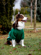 Woofmas | Festive Forest