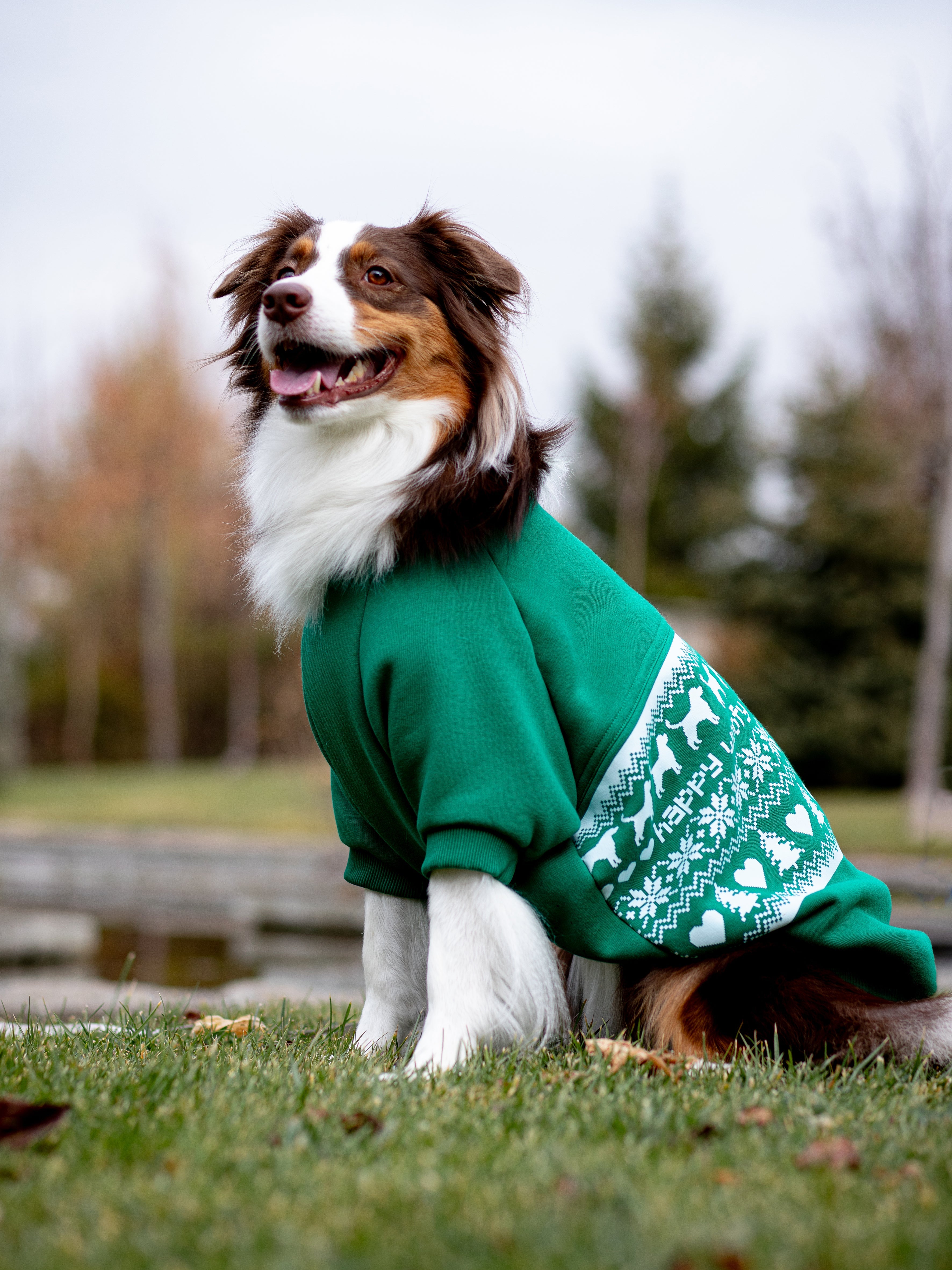 Woofmas | Festive Forest