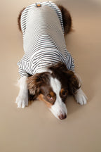Turtleneck Tshirt | Classic Stripe