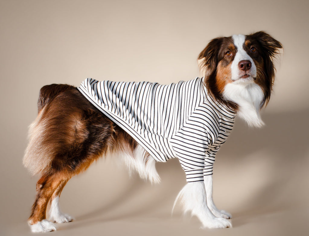 Turtleneck Tshirt | Classic Stripe