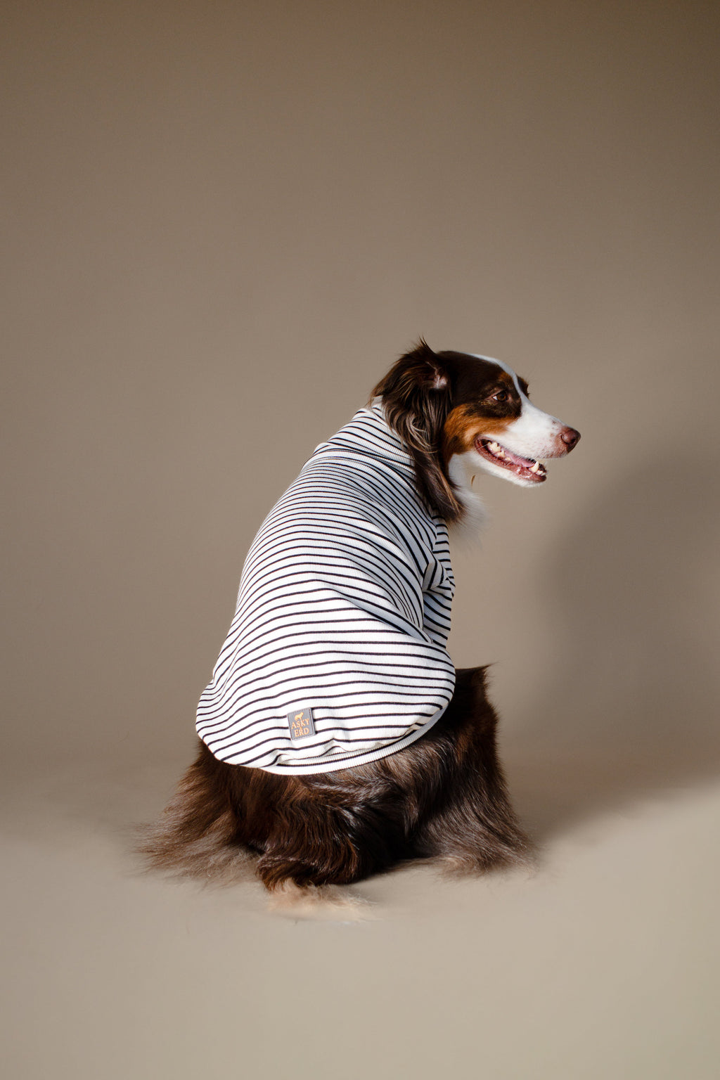 Turtleneck Tshirt | Classic Stripe