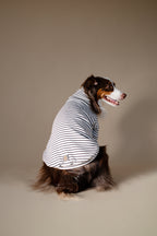 Turtleneck Tshirt | Classic Stripe
