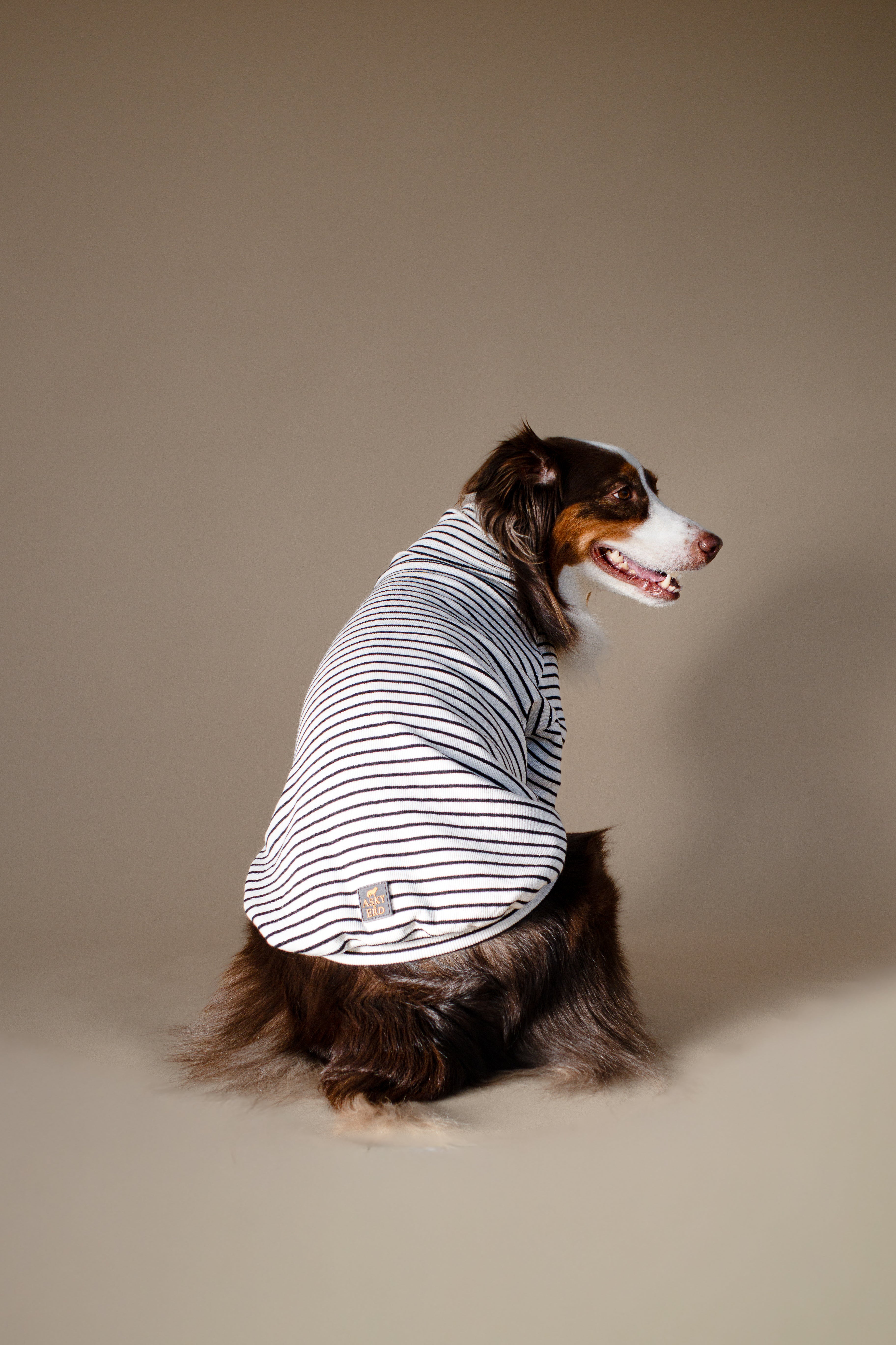 Turtleneck Tshirt | Classic Stripe
