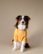 Waffle Tshirt | Honey Glow