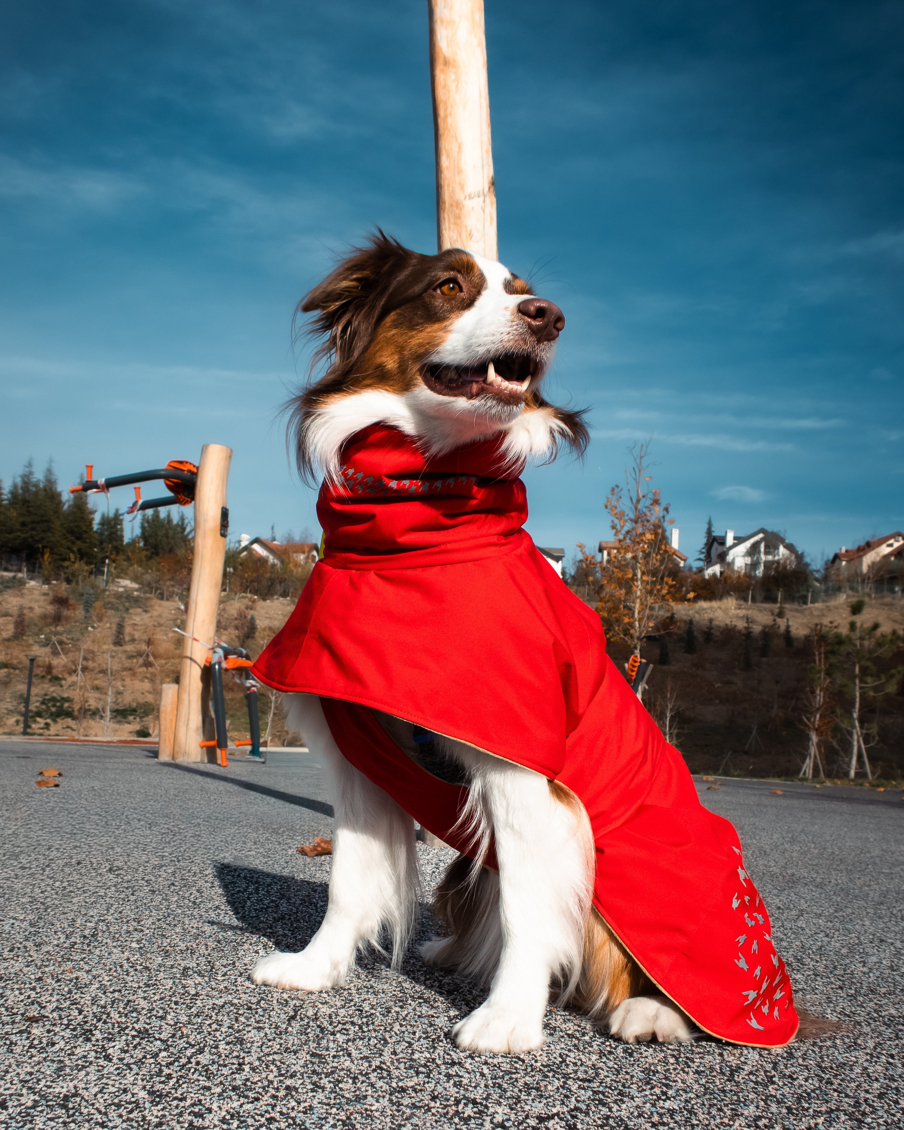 Seattle StormGuard Coat | Scarlet Sand