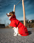 Seattle StormGuard Coat | Scarlet Sand