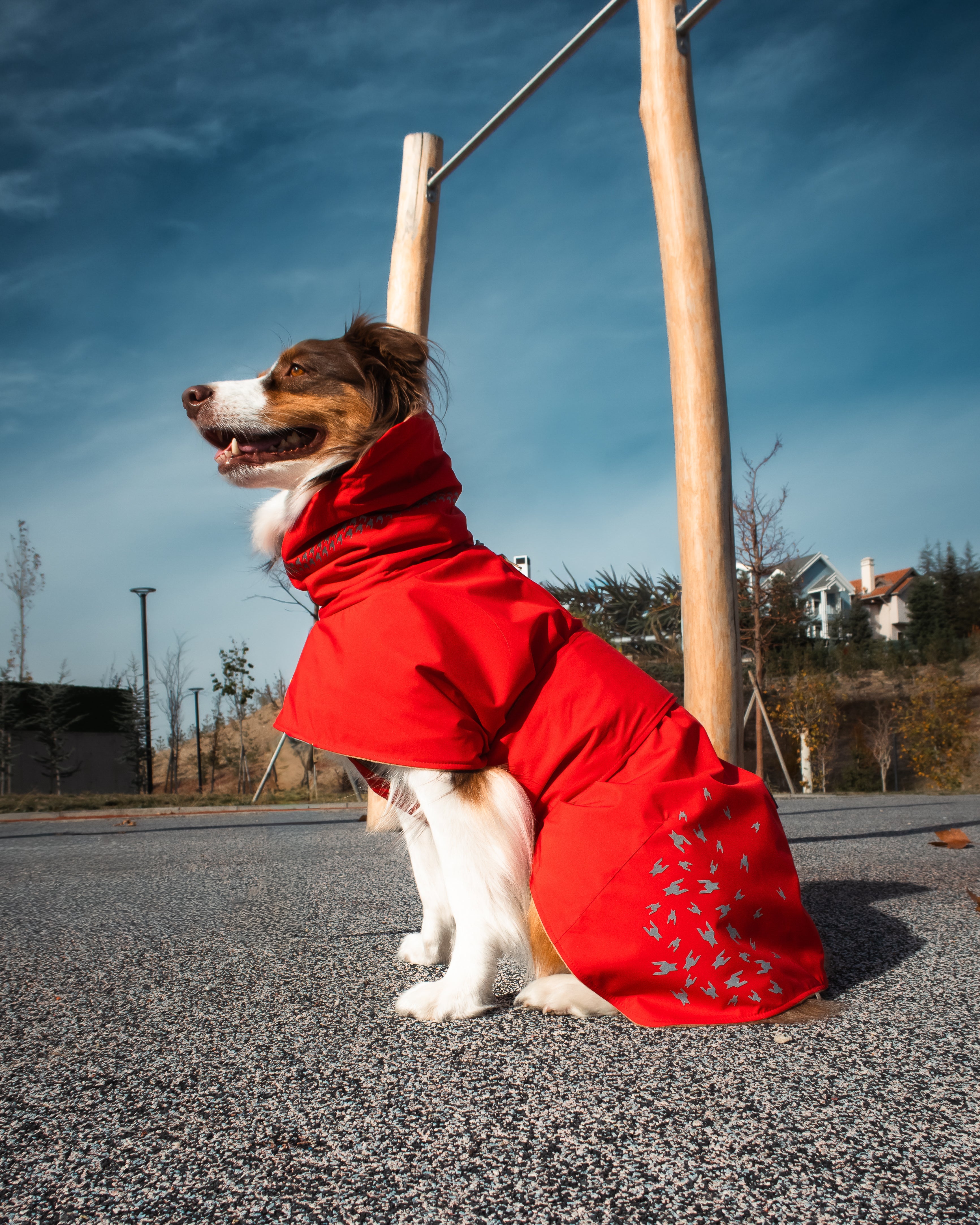 Seattle StormGuard Coat | Scarlet Sand