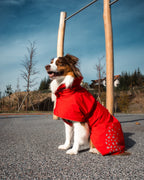 Seattle StormGuard Coat | Scarlet Sand