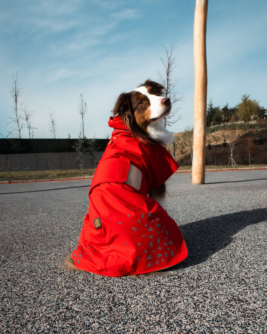 Seattle StormGuard Coat | Scarlet Sand