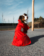 Seattle StormGuard Coat | Scarlet Sand